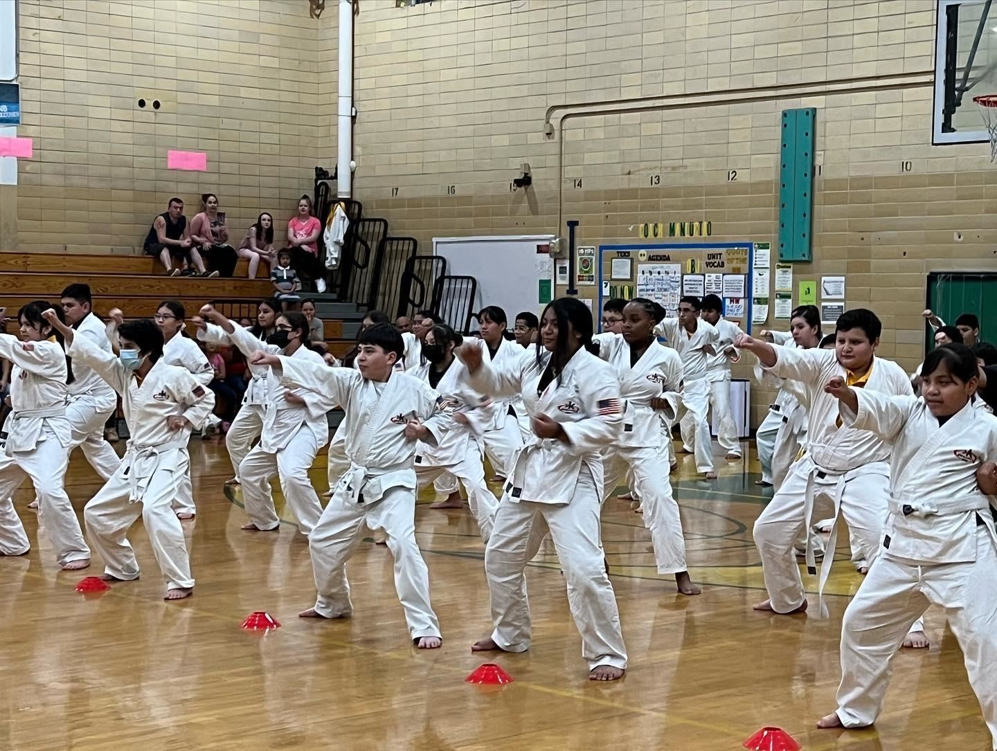 Karate students demonstrating